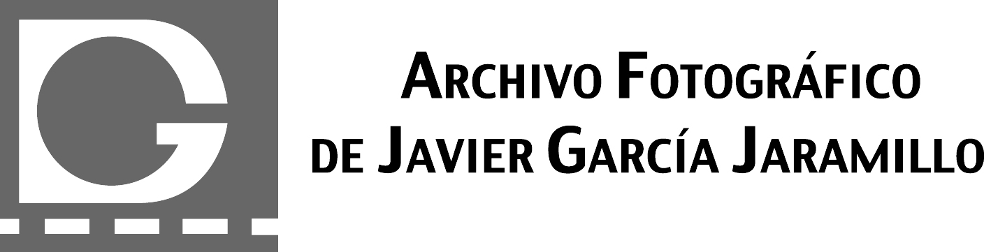 LogoArchivoex gris
